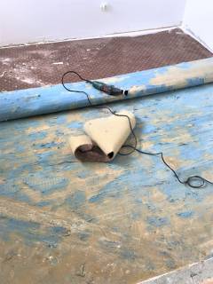 images/IMG_0118.jpeg