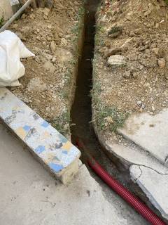 images/IMG_2046.jpeg